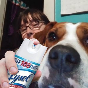 Meet your Posher, Roegenia